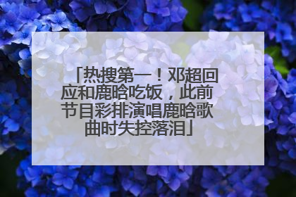 热搜第一！邓超回应和鹿晗吃饭，此前节目彩排演唱鹿晗歌曲时失控落泪