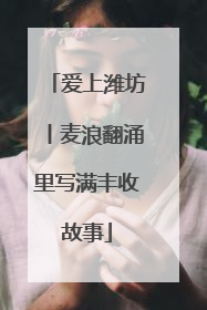 爱上潍坊丨麦浪翻涌里写满丰收故事