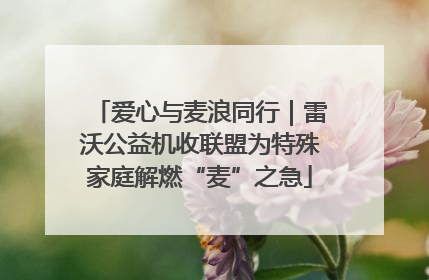 爱心与麦浪同行｜雷沃公益机收联盟为特殊家庭解燃“麦”之急