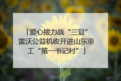 爱心接力战“三夏” 雷沃公益机收开进山东重工“第一书记村”