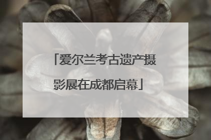 爱尔兰考古遗产摄影展在成都启幕