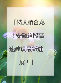 特大桥合龙！安徽这段高速建设最新进展！