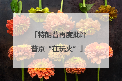 特朗普再度批评普京“在玩火”