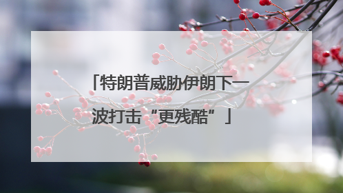 特朗普威胁伊朗下一波打击“更残酷”