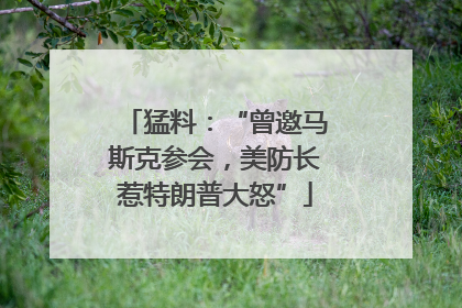 猛料：“曾邀马斯克参会，美防长惹特朗普大怒”