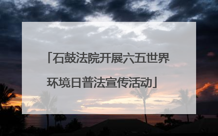 石鼓法院开展六五世界环境日普法宣传活动