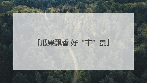 瓜果飘香 好“丰”景