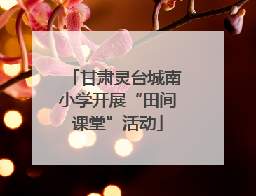 甘肃灵台城南小学开展“田间课堂”活动