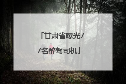 甘肃省曝光77名醉驾司机