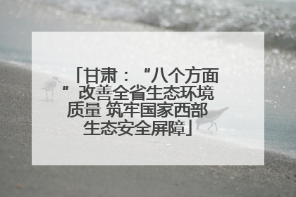 甘肃：“八个方面”改善全省生态环境质量 筑牢国家西部生态安全屏障