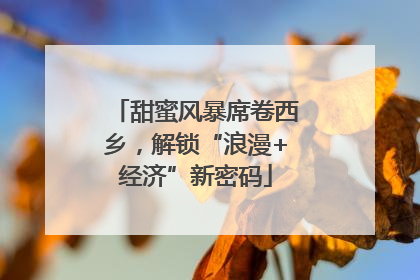 甜蜜风暴席卷西乡，解锁“浪漫+经济”新密码