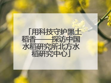 用科技守护黑土稻香——探访中国水稻研究所北方水稻研究中心