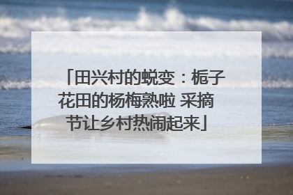 田兴村的蜕变：栀子花田的杨梅熟啦 采摘节让乡村热闹起来