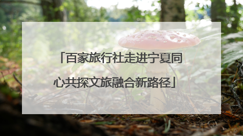 百家旅行社走进宁夏同心共探文旅融合新路径