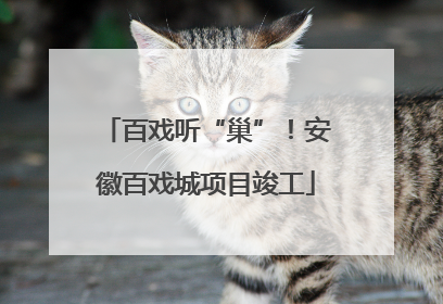 百戏听“巢”！安徽百戏城项目竣工