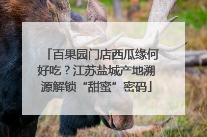 百果园门店西瓜缘何好吃？江苏盐城产地溯源解锁“甜蜜”密码