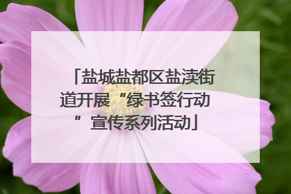 盐城盐都区盐渎街道开展“绿书签行动”宣传系列活动