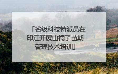 省级科技特派员在印江开展山桐子苗期管理技术培训