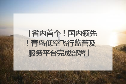 省内首个！国内领先！青岛低空飞行监管及服务平台完成部署