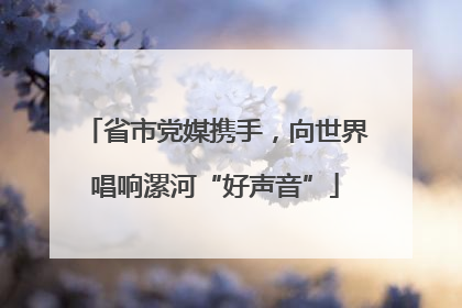 省市党媒携手，向世界唱响漯河“好声音”