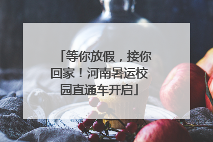 等你放假，接你回家！河南暑运校园直通车开启