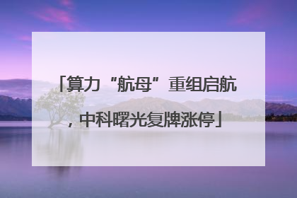 算力“航母”重组启航，中科曙光复牌涨停