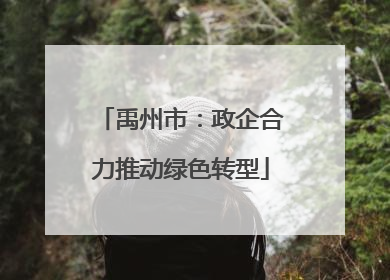 禹州市：政企合力推动绿色转型