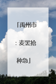 禹州市：麦罢抢种急