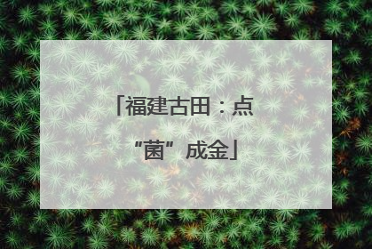 福建古田：点“菌”成金