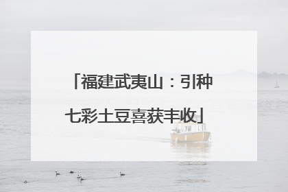 福建武夷山：引种七彩土豆喜获丰收