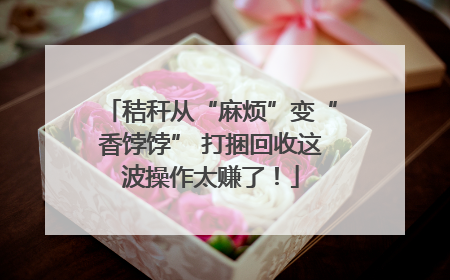 秸秆从“麻烦”变“香饽饽” 打捆回收这波操作太赚了！