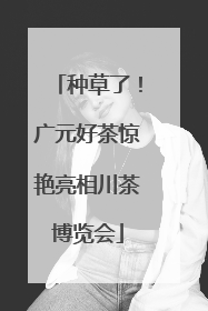 种草了！广元好茶惊艳亮相川茶博览会