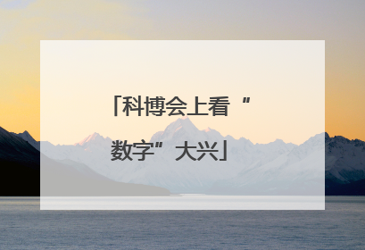 科博会上看“数字”大兴