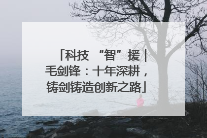 科技 “智”援｜毛剑锋：十年深耕，铸剑铸造创新之路