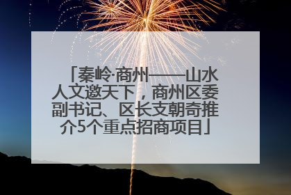 秦岭·商州——山水人文邀天下，商州区委副书记、区长支朝奇推介5个重点招商项目