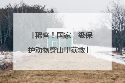 稀客！国家一级保护动物穿山甲获救