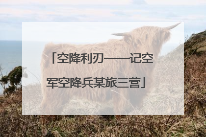 空降利刃——记空军空降兵某旅三营