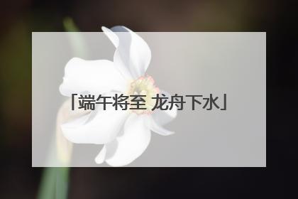 端午将至 龙舟下水