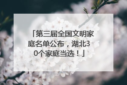 第三届全国文明家庭名单公布，湖北30个家庭当选！