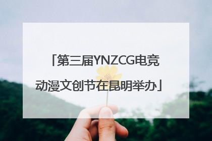 第三届YNZCG电竞动漫文创节在昆明举办