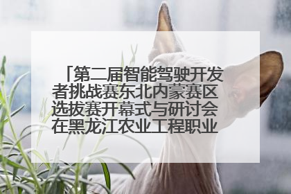 第二届智能驾驶开发者挑战赛东北内蒙赛区选拔赛开幕式与研讨会在黑龙江农业工程职业学院成功举行
