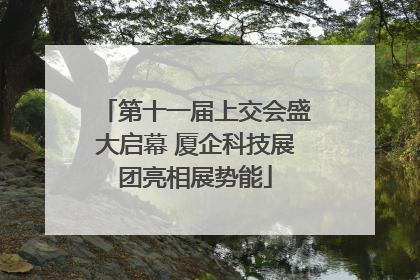 第十一届上交会盛大启幕 厦企科技展团亮相展势能