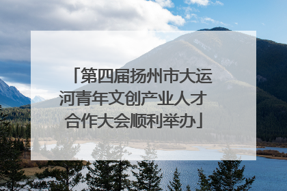 第四届扬州市大运河青年文创产业人才合作大会顺利举办