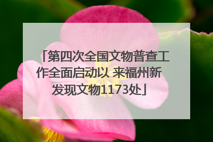 第四次全国文物普查工作全面启动以 来福州新发现文物1173处