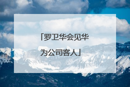 罗卫华会见华为公司客人