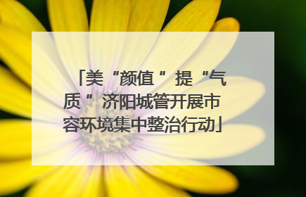 美“颜值 ”提“气质 ”济阳城管开展市容环境集中整治行动