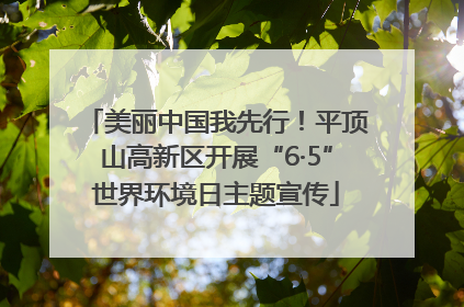 美丽中国我先行！平顶山高新区开展“6·5”世界环境日主题宣传