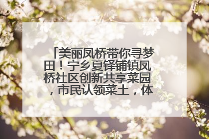 美丽凤桥带你寻梦田！宁乡夏铎铺镇凤桥社区创新共享菜园，市民认领菜土，体验耕种收获乐趣