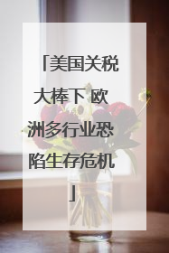 美国关税大棒下 欧洲多行业恐陷生存危机