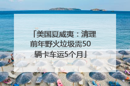 美国夏威夷：清理前年野火垃圾需50辆卡车运5个月